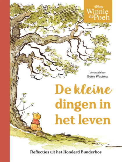 Disney's Gouden Frozenverhalen 9